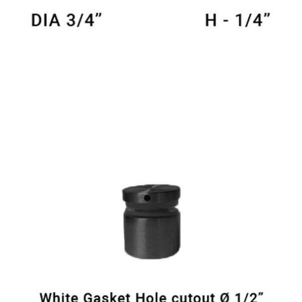 SO681975025BS - BL 3/4" Dia with 1/4" Height SS316